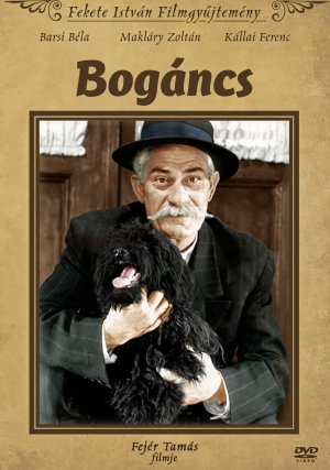 Bogáncs
