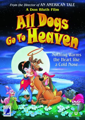 DVD
