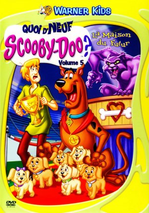 DVD
