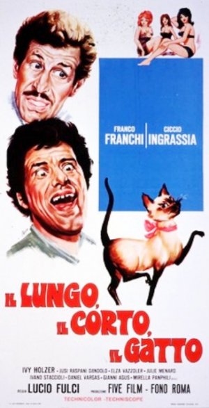 Il lungo, il corto, il gatto