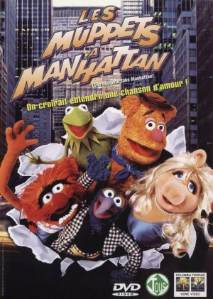 DVD