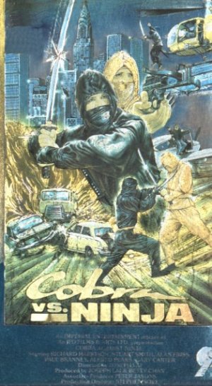 Cobra vs. Ninja