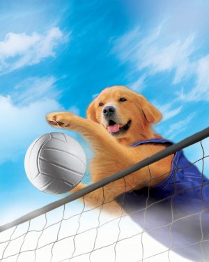 Air Bud: Spikes Back