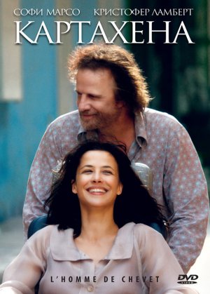 DVD