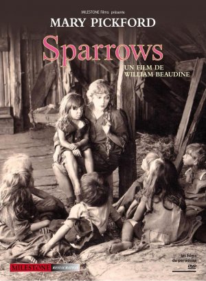 Sparrows