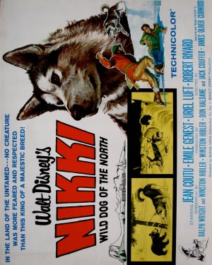 Nikki, Wild Dog of the North