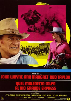 The Train Robbers