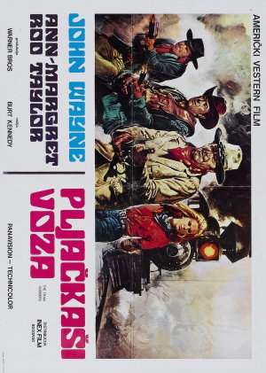 The Train Robbers