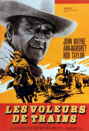 The Train Robbers