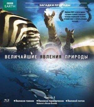 Blu-Ray