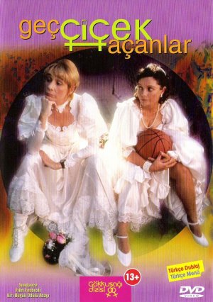 DVD