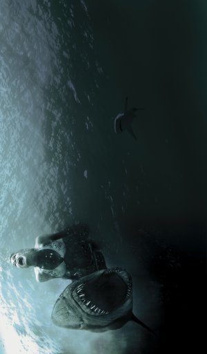 Shark Night 3D