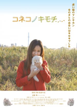 Koneko no kimochi