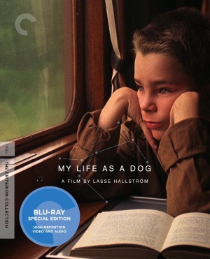 Blu-Ray