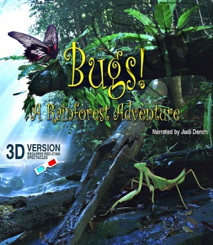 Bugs!