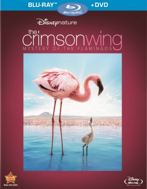Blu-Ray