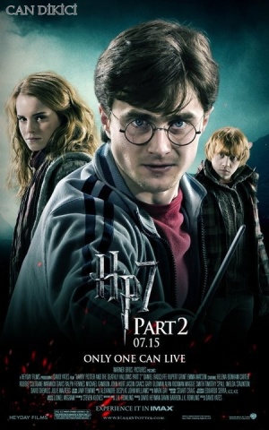 Harry Potter and the Deathly Hallows: Part 2