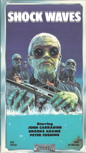 Shock Waves
