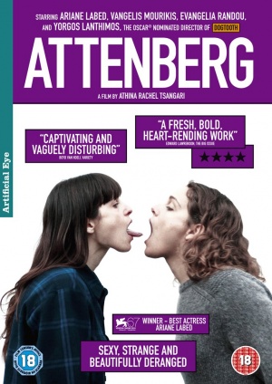 DVD