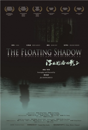 The Floating Shadow
