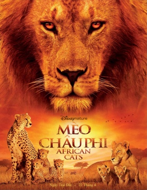 African Cats