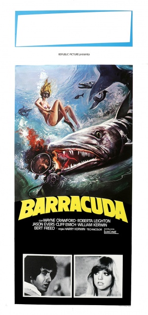Barracuda