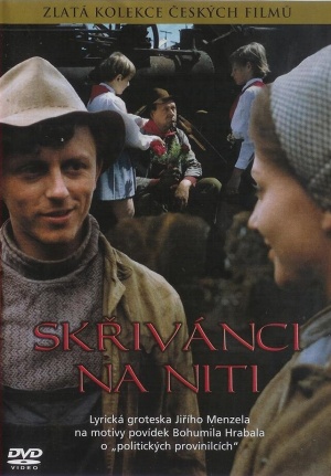 DVD
