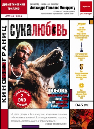 DVD