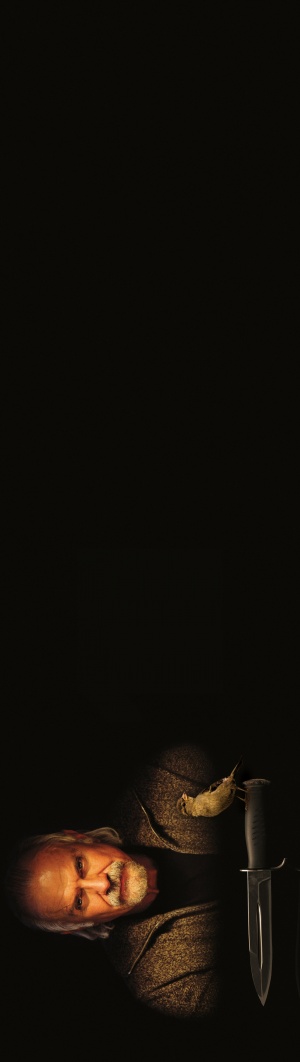 Textless
