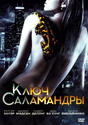 DVD