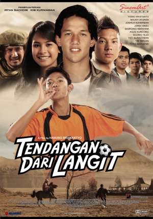 Tendangan dari langit