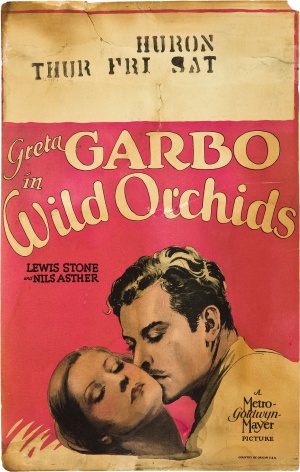 Wild Orchids