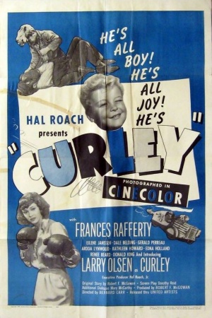 Curley