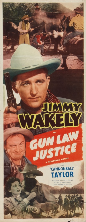 Gun Law Justice
