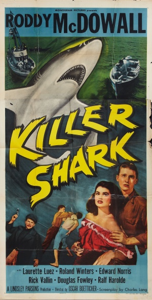 Killer Shark
