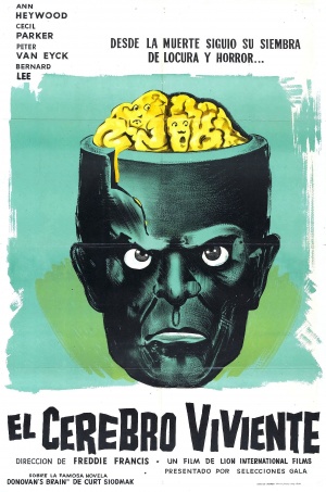 The Brain