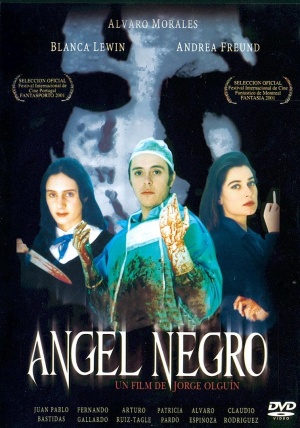 Ángel negro