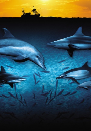 Wild Ocean