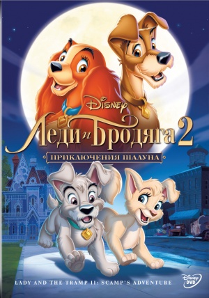 DVD