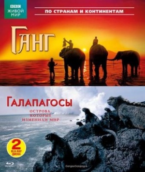Blu-Ray