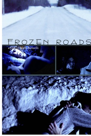 Frozen Roads