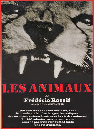 Les animaux