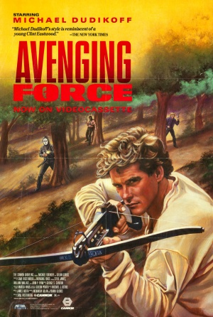 Avenging Force