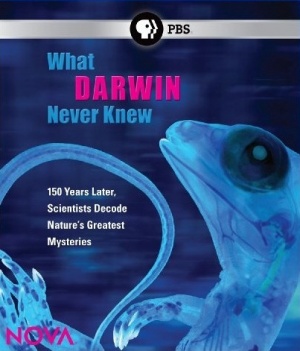 What Darwin Didn't Know