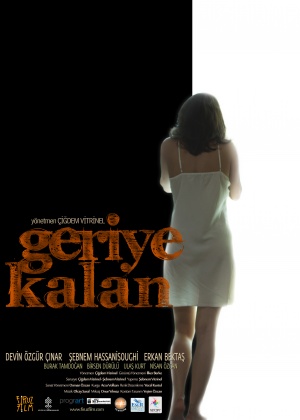 Geriye Kalan