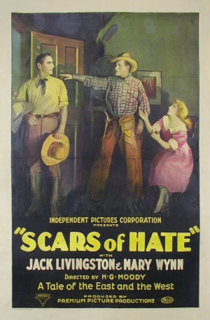 Scars of Hate