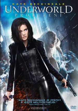 DVD