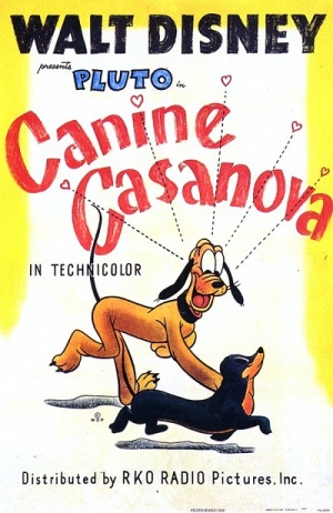Canine Casanova