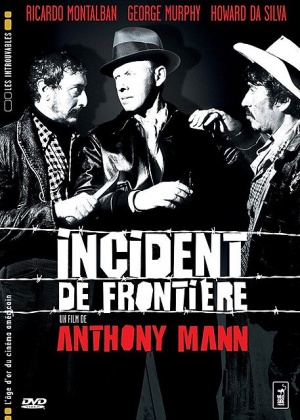 Border Incident