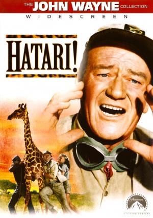 DVD